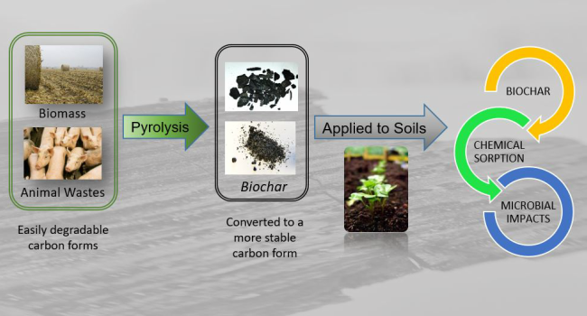 Diagram depicting the benefits of biochar application.